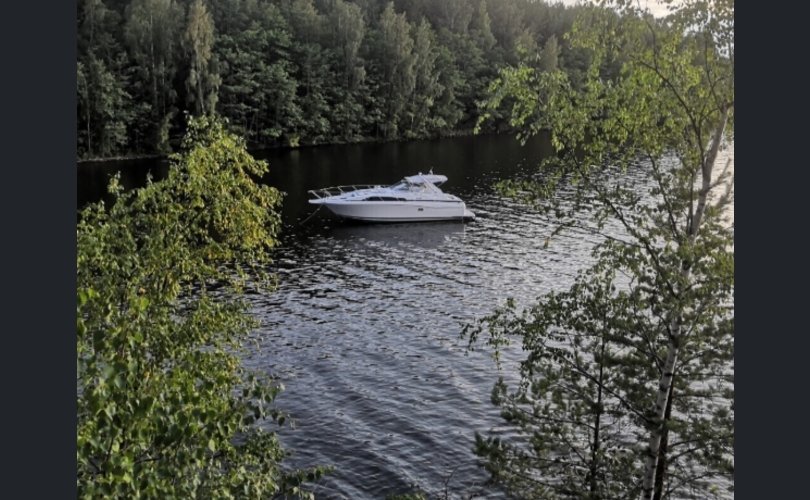 Bayliner Avanti Express 3255-kuva-3